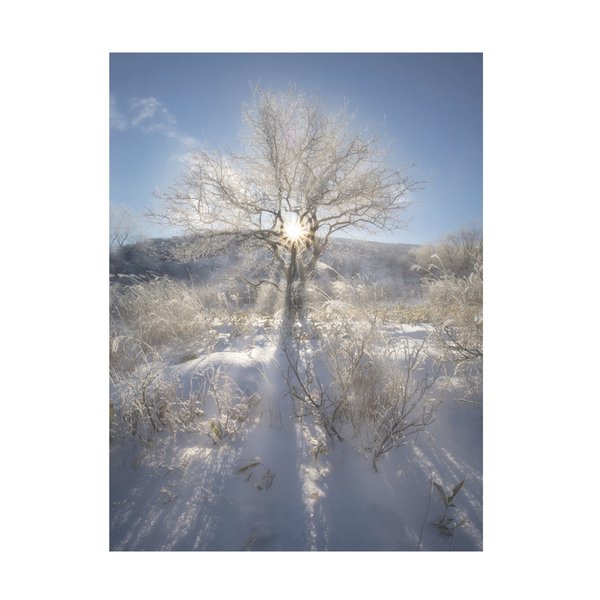 Trademark Fine Art Makiko Samejima 'Winter Morning In The Mountain' Canvas Art, 14x19 1X14351-C1419GG